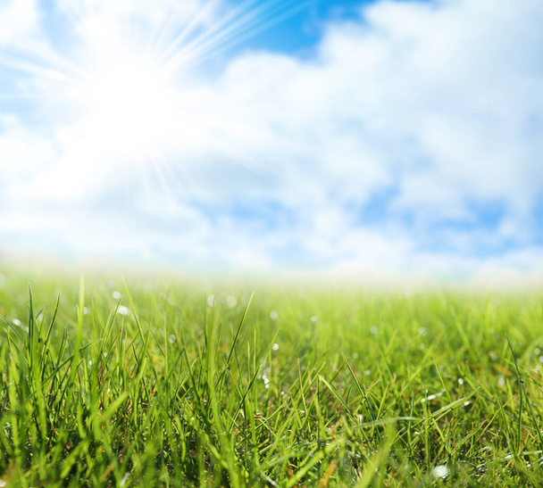 Groen gras en blauwe lucht op zonnige dag - Foto, afbeelding