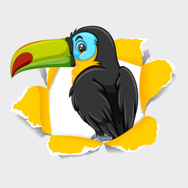 Background template design with wild toucan bird illustration - Vektor, kép
