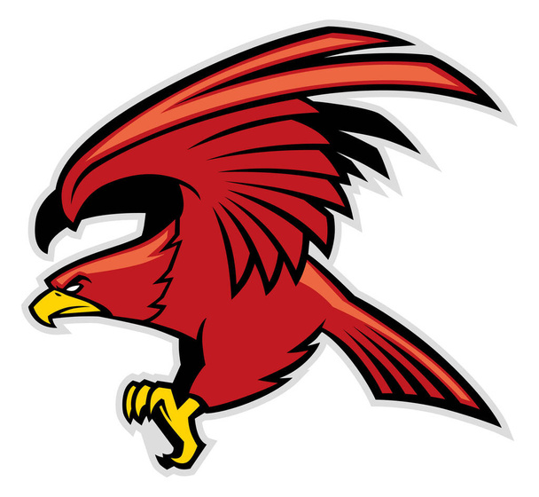 Hawk mascotte past voor uw sport logo of andere doeleinden  - Vector, afbeelding