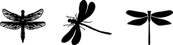 libélula icono aislado en el fondo
 - Vector, imagen