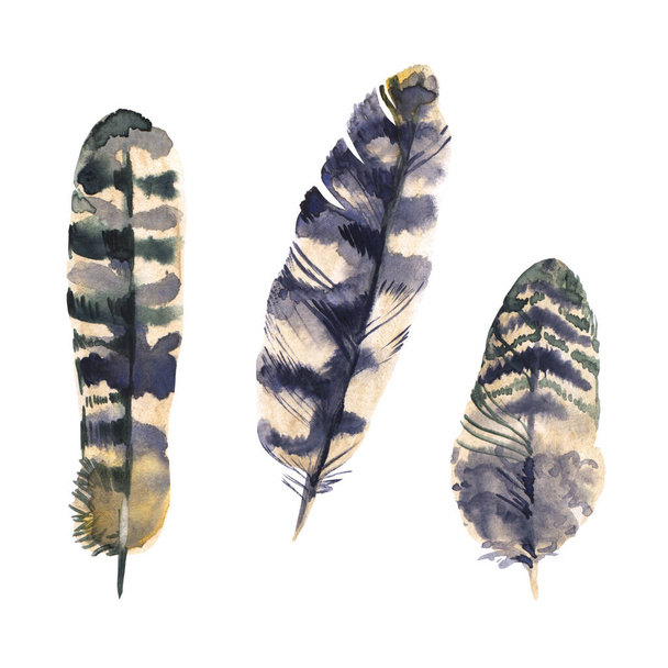 Set of watercolor feathers isolated on white background. Beautiful and gentle watercolor hand drawn feathers for your design, fabric, textile and others. - Foto, Bild