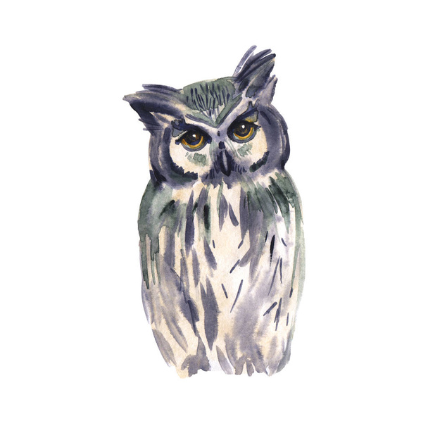 Owl bird watercolor painting hand made isolated on white background. illustration isolated. Watercolor Boho Print Owl on white. Bird design. - Zdjęcie, obraz