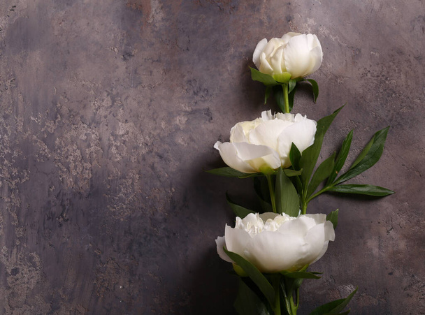 still life peonies flowers for background and decoration - Foto, imagen