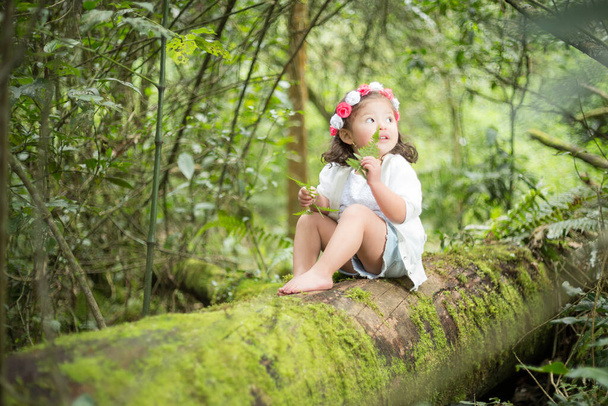 Girl sitting on a trunk in the middle of a big green forest smelling the happy and quiet herb - 写真・画像