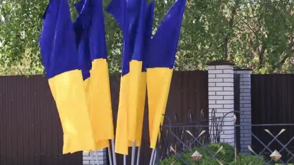 Drapeaux de l'Ukraine agitant dans la rue, symbole du pays
 - Séquence, vidéo