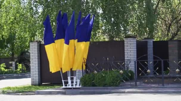 Κυματιστές σημαίες της Ουκρανίας στο δρόμο, σύμβολο χώρας - Πλάνα, βίντεο