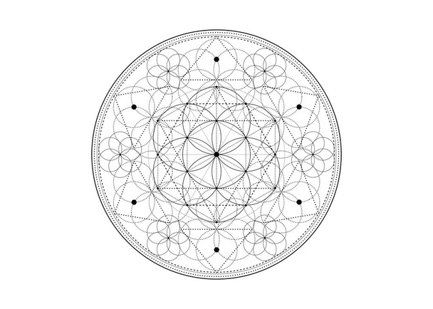 Semena života symbol posvátné geometrie. Geometrická mystická mandala alchymie esoterický květ života. Vektor černé a bílé božské meditační amulet izolované na bílém pozadí - Vektor, obrázek