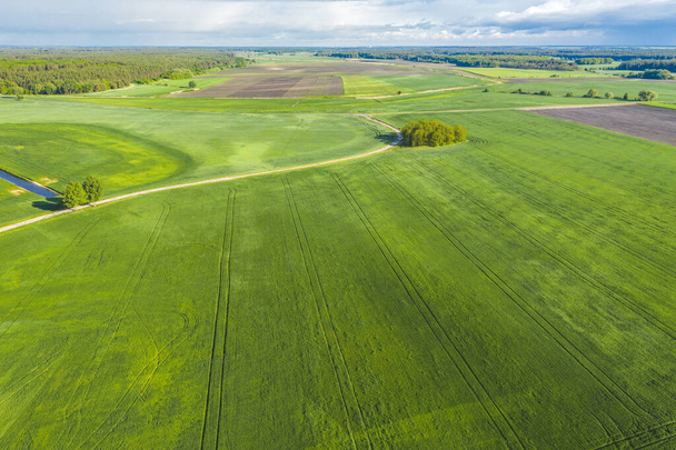 Концепция урожая и сельского хозяйства, беспилотник, летящий над сельской местностью в солнечное облачное весеннее время. Прекрасное воздушное видео для экологической концепции - Фото, изображение