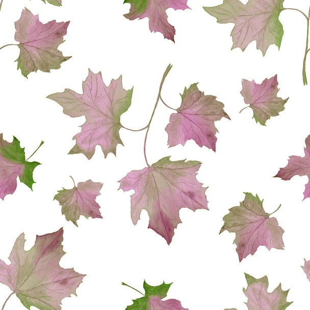 Watercolor seamless pattern with falling leaves. Maple. Beautiful autumn illustration. Natural foliage print. - Foto, Imagem