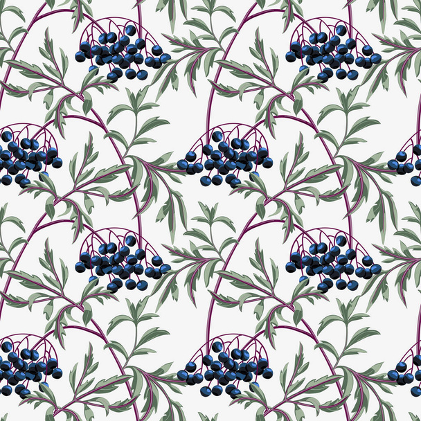 Black elderberry branch with berries and leaves on white background. Vector seamless pattern. - Vector, Image