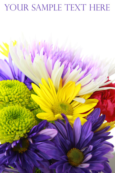 Colorful flowers - Photo, Image
