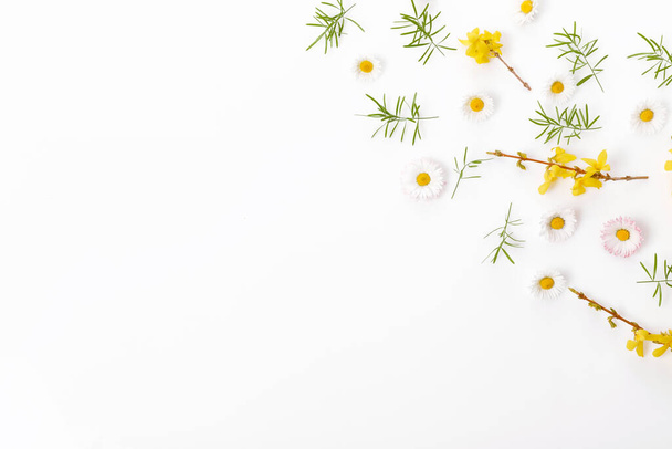 Lente frame van kleine bloemen en madeliefje, bloemstuk - Foto, afbeelding