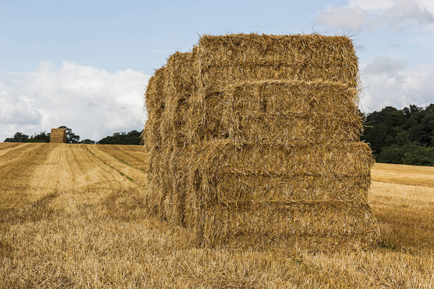 Сбор тюков сена в Великобритании в пахотном поле с голубым небом и виски облака
. - Фото, изображение