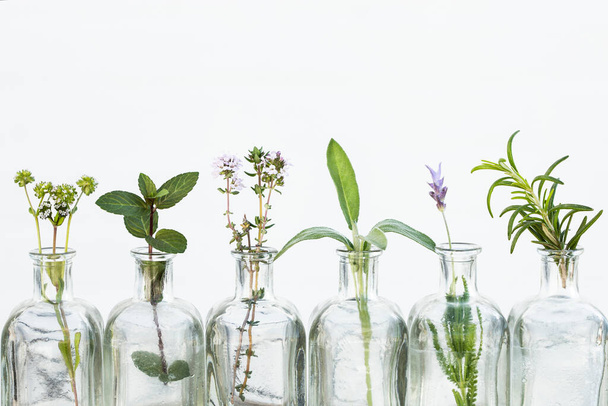 Bottle of essential oil with herbs lavender flower, rosemary ,flower of  canons, thyme and sage  set up on white background. - 写真・画像