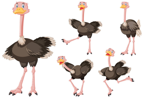 Симпатичная иллюстрация персонажей мультфильмов про страуса
 - Вектор,изображение