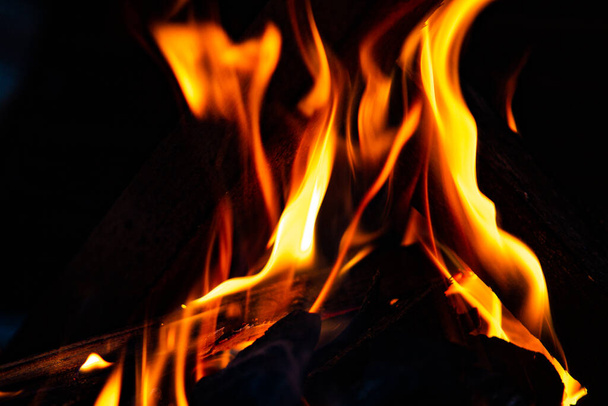 close-up view of beautiful abstract bonfire fire at night - 写真・画像