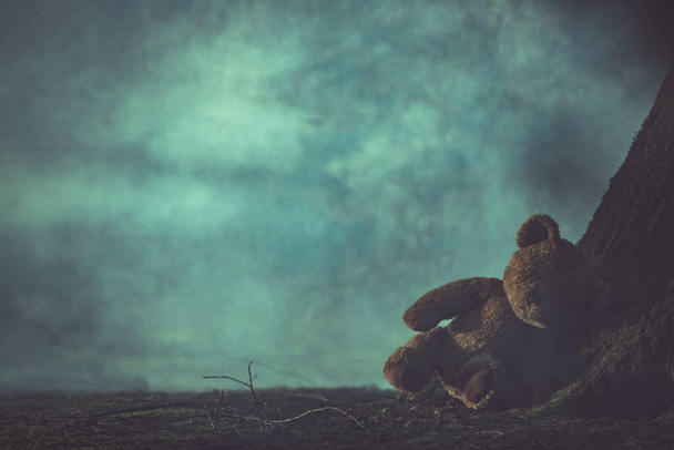 Teddy Bear χαθεί στο σκοτεινό ομιχλώδες δάσος παιδί Κατάχρηση Concept. Σωματική, Σεξουαλική ή Ψυχολογική Κακοποίηση ή Αμέλεια Παιδιού.  - Φωτογραφία, εικόνα