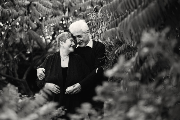 Elderly couple in love walking in the autumn park. Older people hug each other.Black and white photo - Foto, imagen