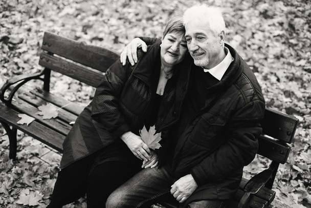 Elderly couple in love walking in the autumn park. Old people are sitting on a bench.Black and white photo - Fotoğraf, Görsel