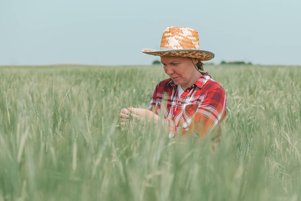 Female agronomist farmer examining development of green barley ears in field, woman agriculturist working on cereal crop plantation, selective focus - Foto, afbeelding