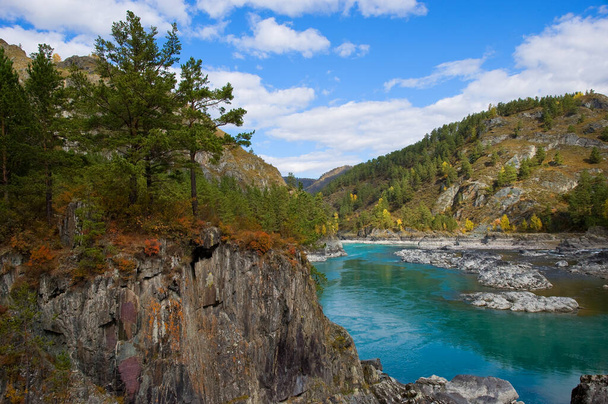 Altay - view of the Katun river in the fall. - Foto, immagini