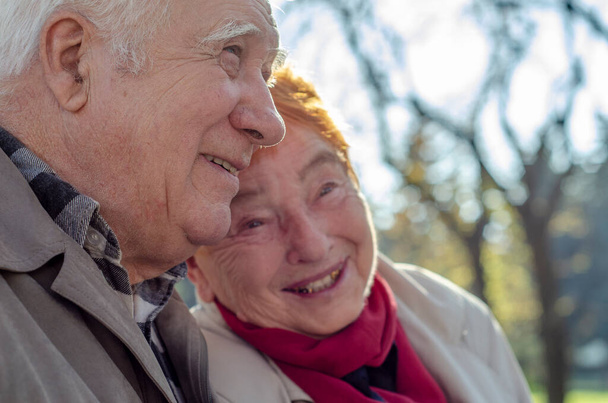 Güneşli bir günde parkta gülümseyen yaşlı, mutlu beyaz bir çift. Kıdemli çift parkta sonbahar zamanı dinleniyor. Sağlık hizmetleri yaşam tarzı yaşlılar emekliliği Sevgililer Günü konsepti - Fotoğraf, Görsel