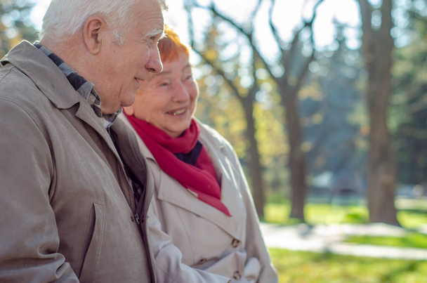 Feliz pareja de ancianos en el parque de otoño. hablar, bromear y recordar la juventud. Pareja madura al aire libre
 - Foto, imagen