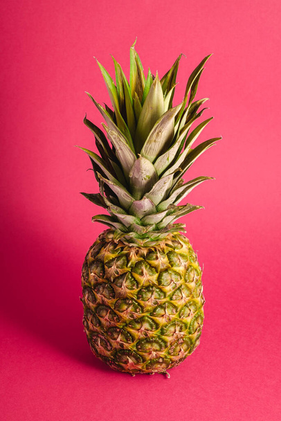 Fresh sweet pineapple on pink red background, angle view - Фото, изображение