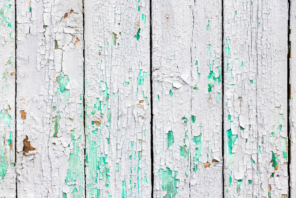 Textura de la antigua superficie de una pared de madera pintada con pintura blanca, una capa de escamas de pintura y cae detrás del árbol
. - Foto, imagen