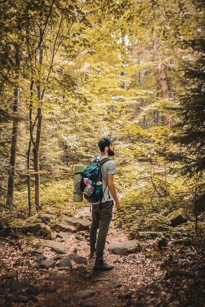 stylish bearded man, traveler or tourist with a backpack for travel and a cap in the middle of a beautiful forest - Photo, image