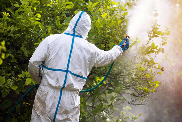 Spuit ecologische pesticide. Boer fumigeren in beschermende pak en masker citroenbomen. Verstuiven van giftige pesticiden, pesticiden, insecticiden - Foto, afbeelding