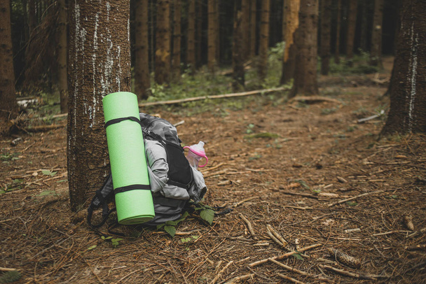Tourist backpack with all camping equipment lying near a tree in the forest - Valokuva, kuva