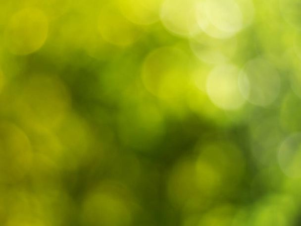 Φώτα και πράσινο με κίτρινο bokeh στη φύση defocus αφηρημένη θαμπάδα φόντο. Αφηρημένο φόντο κίτρινες και πράσινες αποχρώσεις του φυσικού σε εξωτερικούς χώρους bokeh - Φωτογραφία, εικόνα