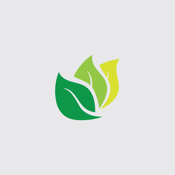 Eco icono verde hoja vector ilustración - Vector, imagen