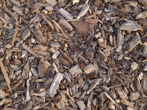 Тло з деревної тирси. Деревна тирса в лісі. Текстура фону тирси
 - Фото, зображення