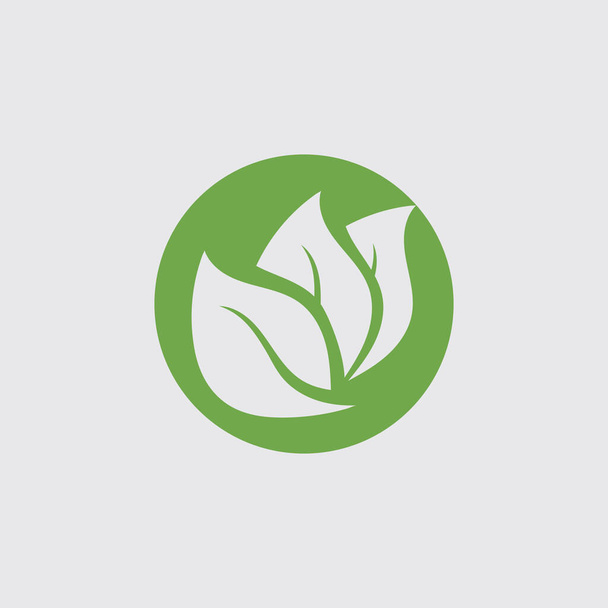 Eco icono verde hoja vector ilustración - Vector, Imagen