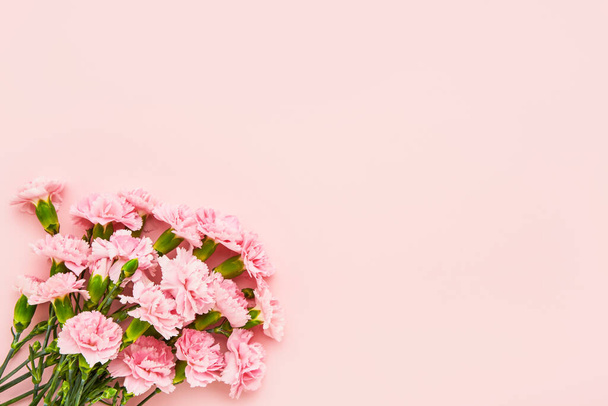 Розовые гвоздичные цветы на розовом фоне. День матери, День Святого Валентина, День рождения концепции празднования. Копирование текста, вид сверху
 - Фото, изображение