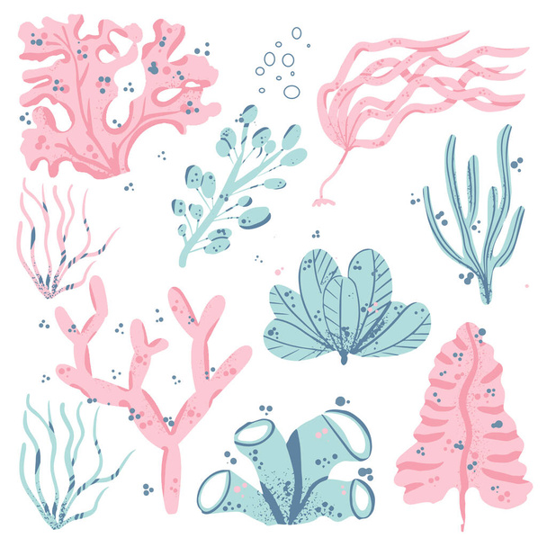 Sea plants and aquatic marine algae. Seaweed set vector illustration isolated on white - Вектор, зображення