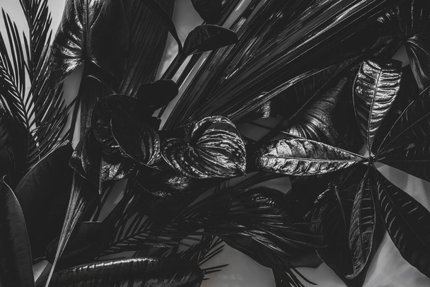 Composição de fundo abstrato de pintado em folhas tropicais pretas e flores em fundo cinza com espaço de cópia
 - Foto, Imagem