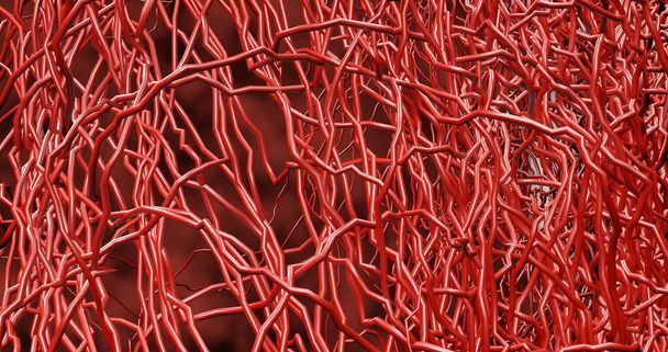 Система багатьох невеликих капілярів відділяється від великих кровоносних судин до системи кровообігу для транспортування крові в різні частини тіла. хвороба геморагічний інсульт. 3D візуалізація
. - Фото, зображення