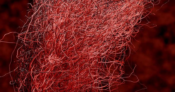Büyük kan damarlarından vücudun farklı yerlerine kan nakli için dolaşım sistemine birçok küçük kılcal damar dallanır. Hastalık kanamalı felç. 3 Boyutlu Hazırlama. - Fotoğraf, Görsel