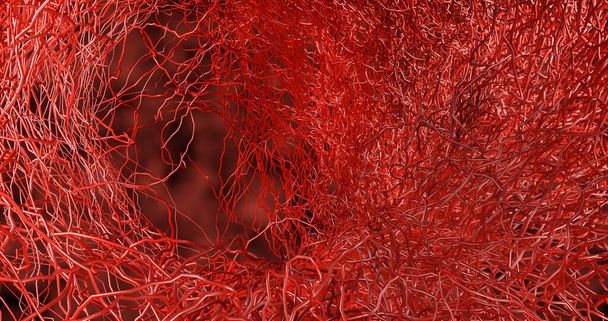Система многих малых капилляров выходит из больших кровеносных сосудов в кровеносную систему для транспортировки крови в различные части тела. геморрагический инсульт. 3D рендеринг. - Фото, изображение