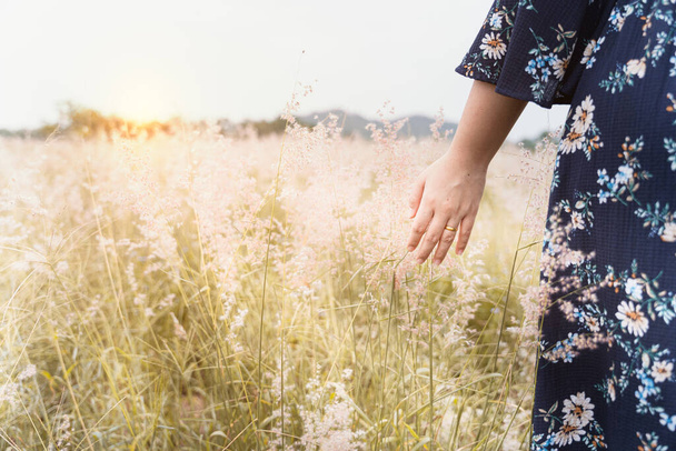 Close up of woman palm sliding through the flowers in the field on sunny day, beautiful woman, bohemian outfit, indie style, summer vacation, sunny, having fun, positive mood, romantic - Фото, зображення