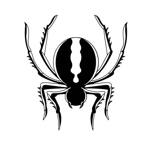 Black spider icon isolated on white background for website flat vector illustration. Transparent and back. Widow. Arachnophobia. Phobia concept. Danger symbol. Graphic element. Insect animal. - Vetor, Imagem