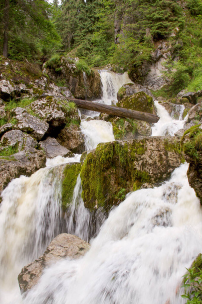 Jokia muodostavat vesiputoukset Cetatile Ponoruluissa, Apusenin luonnonpuistossa, Romaniassa
 - Valokuva, kuva