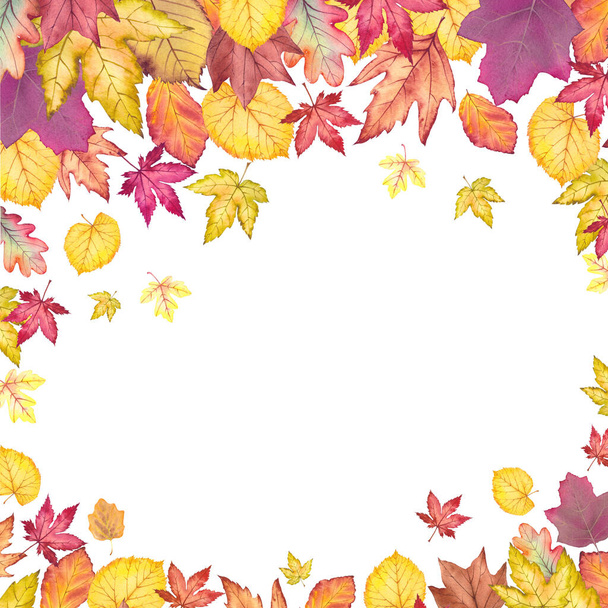 Kleurrijke herfst bladeren frame. - Foto, afbeelding