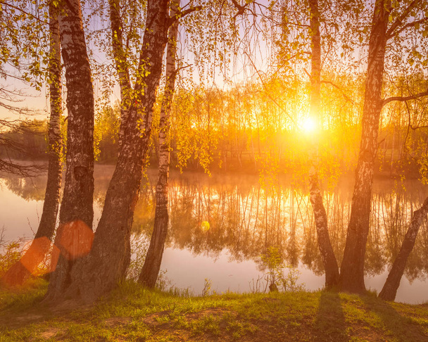 Sunrise or sunset among birches with young leaves near a pond, reflected in the water covered with fog. The sun shining through the branches of trees. - Photo, Image