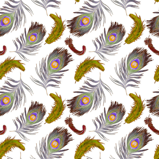 Decorative seamless pattern with beautiful peacock feathers. Modern trendy texture. Hand drawn with crayons. - Photo, Image