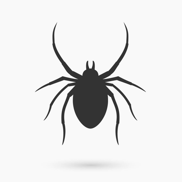 Vector illustration of spider on light background. - Вектор, зображення