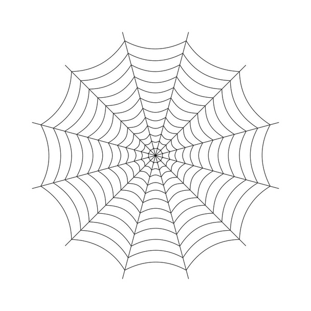 Vektorillustration des Spinnennetzes auf hellem Hintergrund. - Vektor, Bild